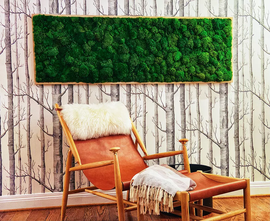 Moss Image Picture Wall Decor Moss wall art Moss picture Wall